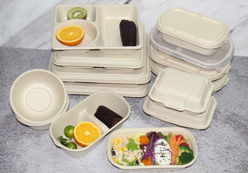 bagasse lunch boxes.jpg