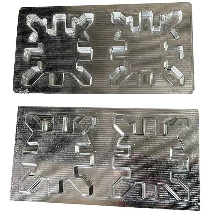 pulp moulding dies for electronic trays.jpg