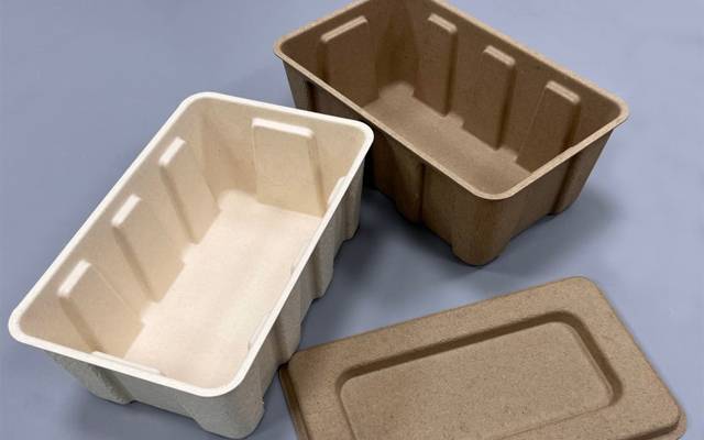 custom molded pulp packaging.jpg