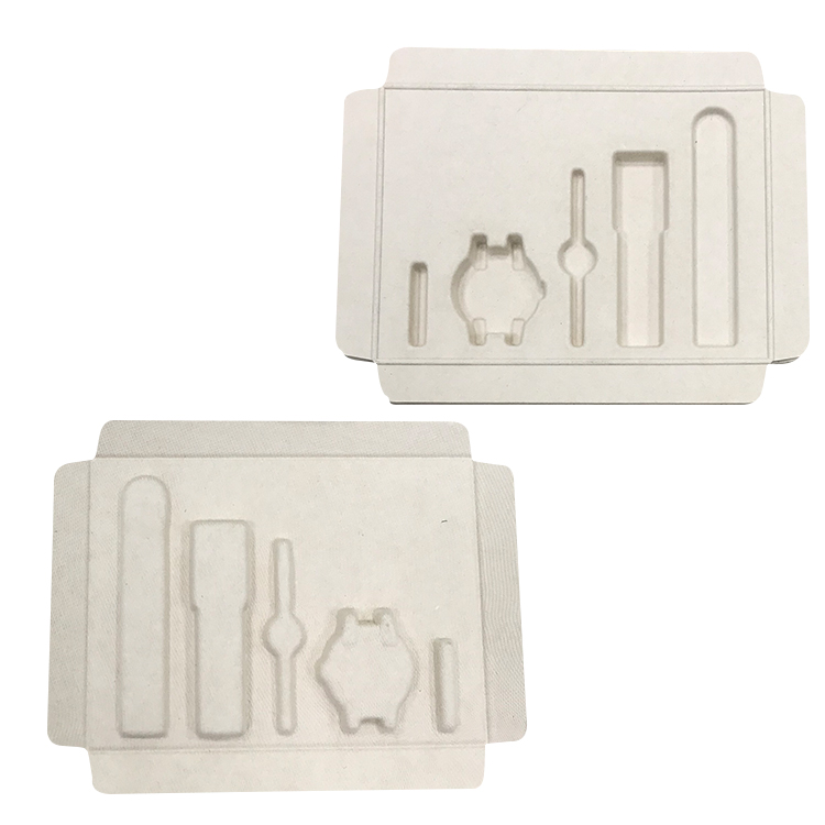 Pulp Packaging For Watch (9).jpg