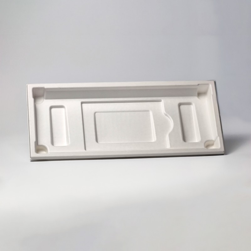 sugarcane paper pulp tray.jpg
