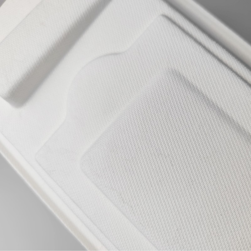 eco-friendly paper tray.jpg