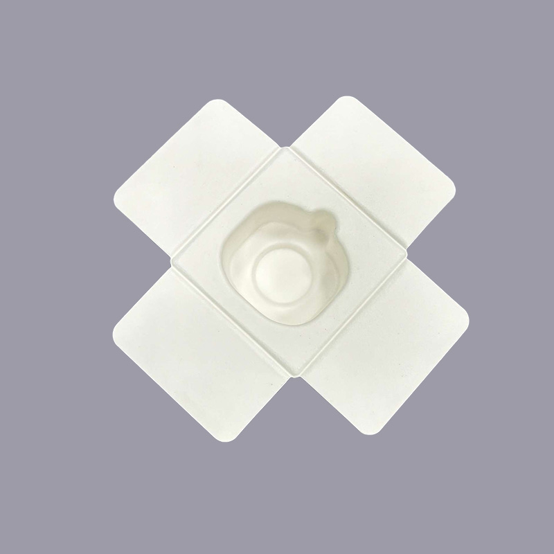 molded pulp packaging