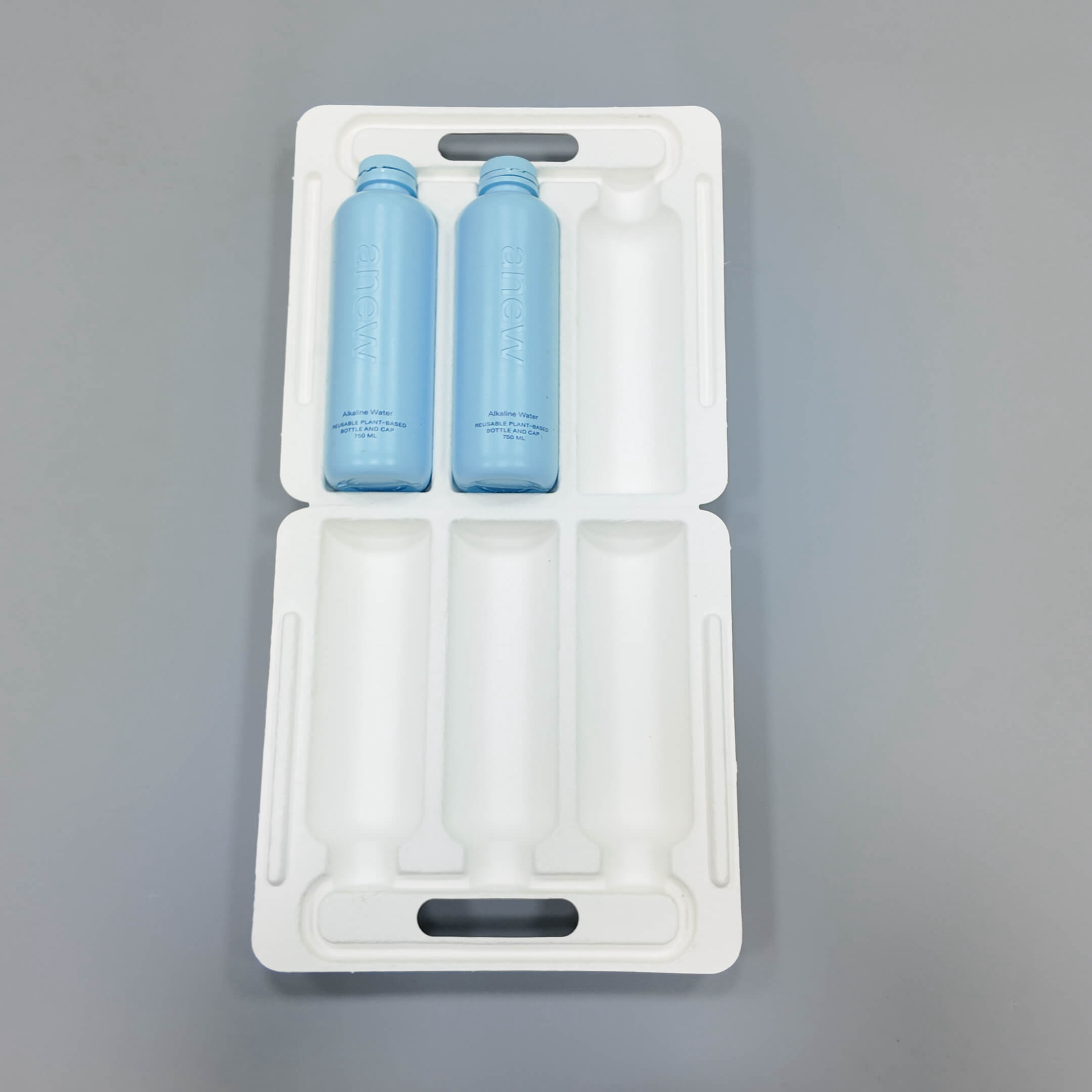 two-bottle-custom-molded-pulp-insert-tray.webp.jpg