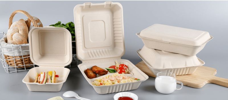 bagasse lunch boxes