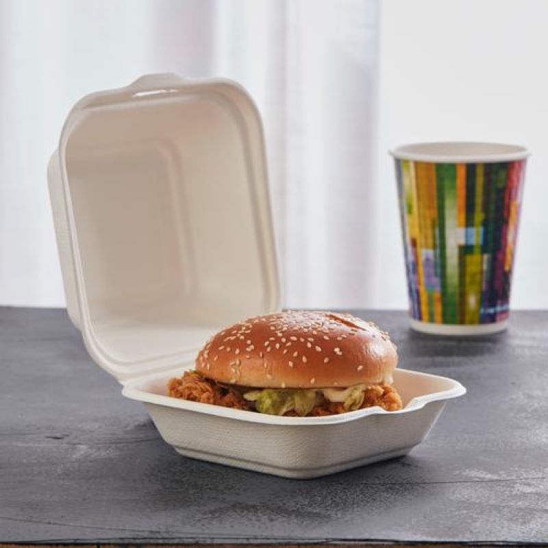 bagasse lunch boxes