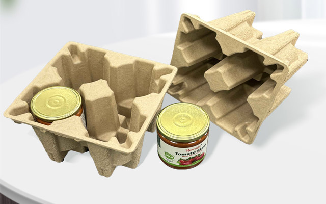 molded pulp packaging.jpg