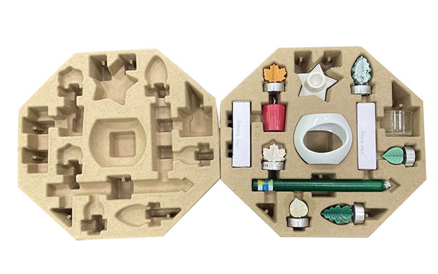 biodegradable mould pulp tray.jpg